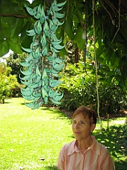 091 Cairns Botanic Gardens